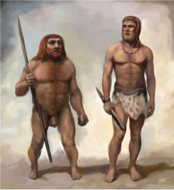 confronto-sapiens-neanderthal-2